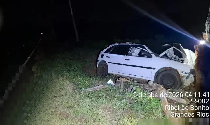 Acidente na PR-082: Motorista colide com boi solto e fica ferido