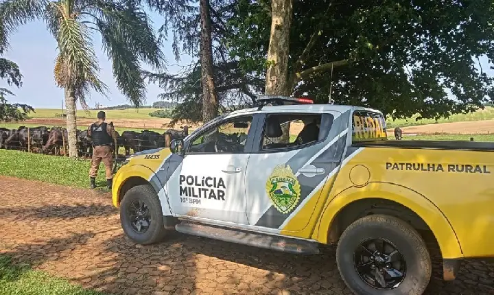 Bandidos furtam casa na zona rural em São João do Ivaí