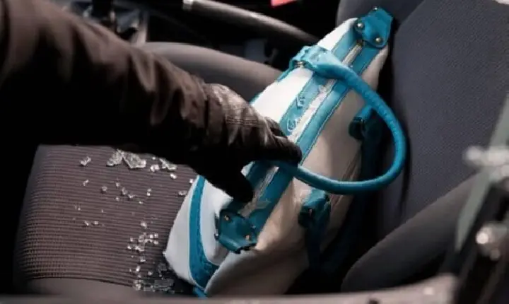 Bolsa é furtada de carro em Califórnia