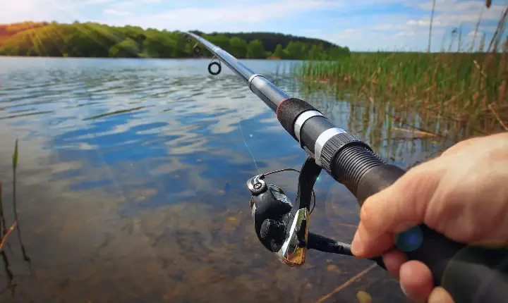 Dois homens invadem sítio e roubam peixes em Rosário do Ivaí