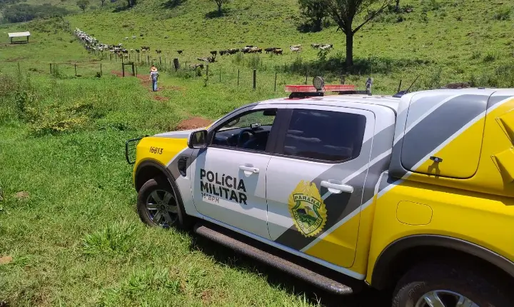 Furto qualificado em chácara de Borrazópolis