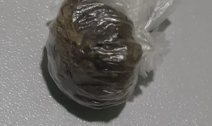 Homem com tornozeleira eletrônica resiste a abordagem e é preso com maconha em São Pedro do Ivaí