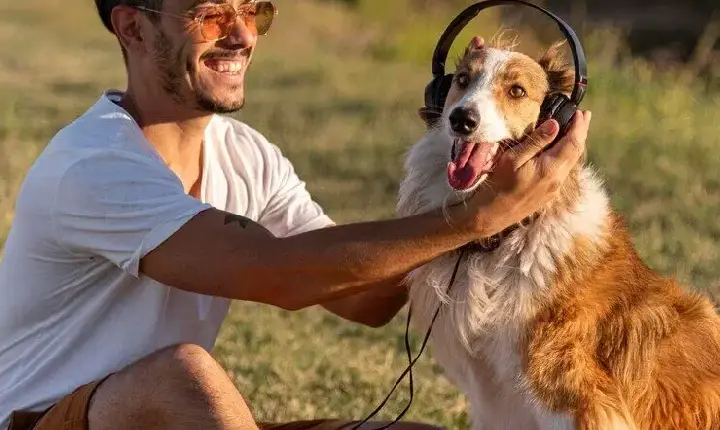 Itália pioneira: licença remunerada para cuidar de pets