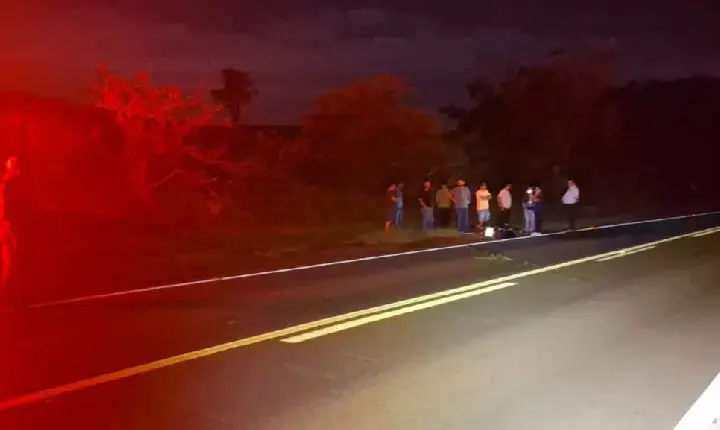 Motociclista fere-se em colisão com capivara em Jardim Alegre