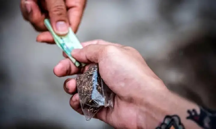 Polícia militar prende 4 por tráfico de drogas em Ivaiporã