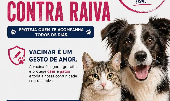 Rotaract Club e Prefeitura promovem vacinação gratuita de cães em Faxinalzinho
