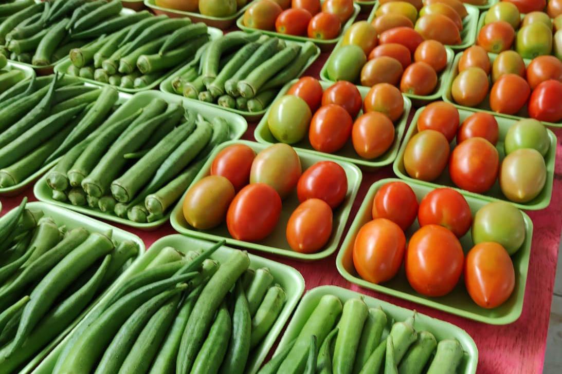 Segurança alimentar e agricultura familiar do Paraná receberam R$ 270 milhões em 2023