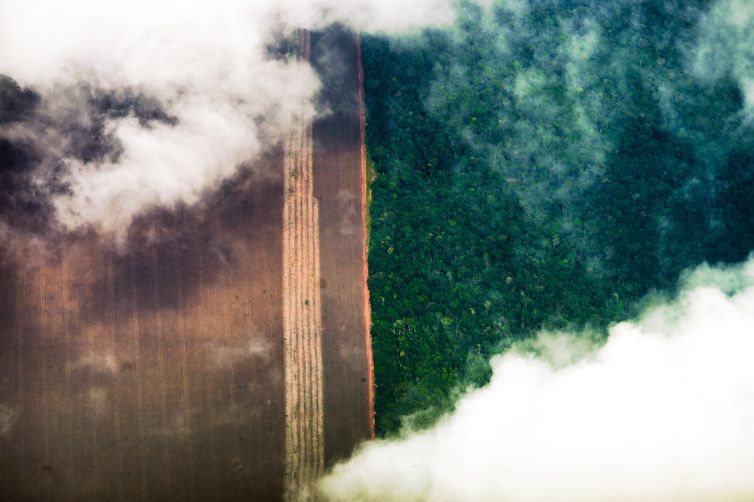 Conhecimento indígena pode melhorar relação com o meio ambiente