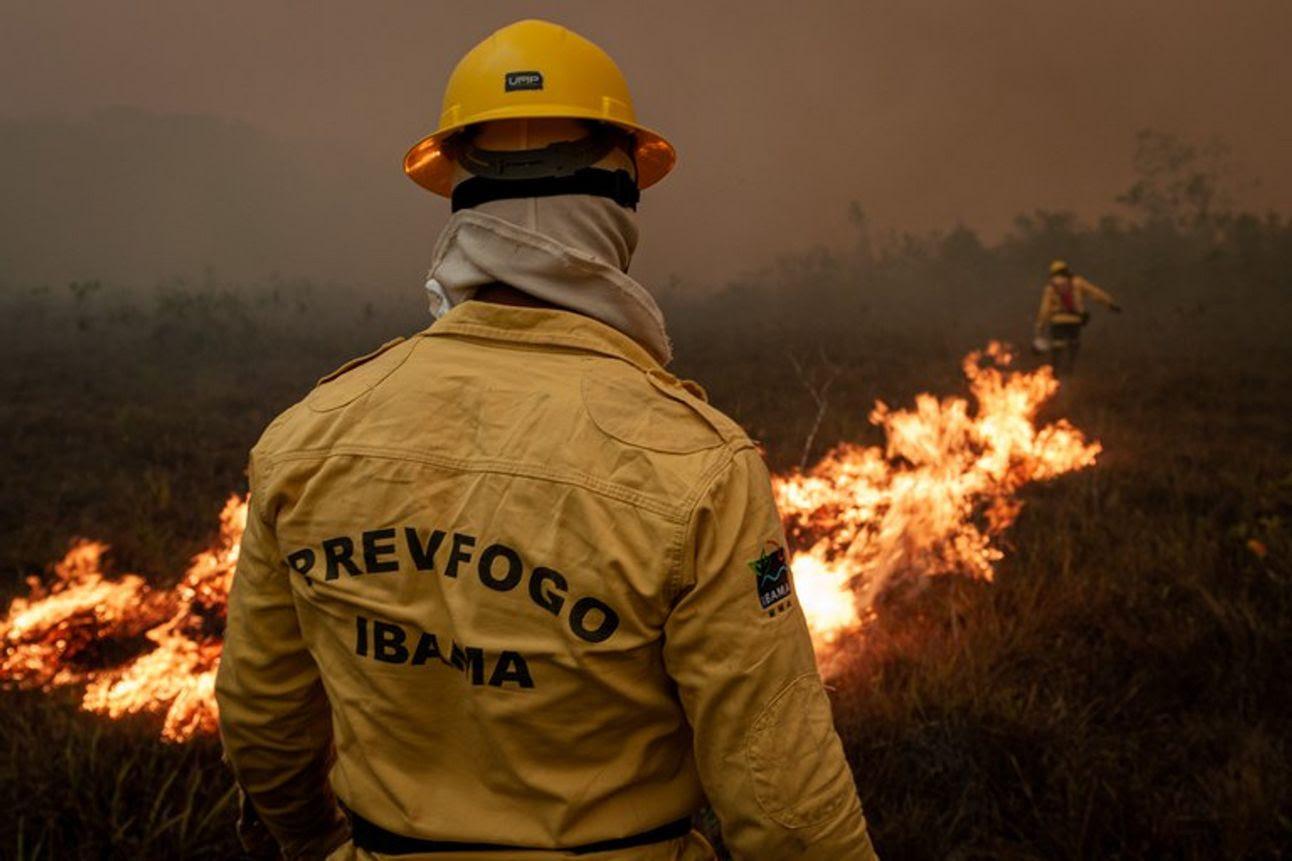 Amazônia em chamas registra pior semestre em mais de 20 Anos