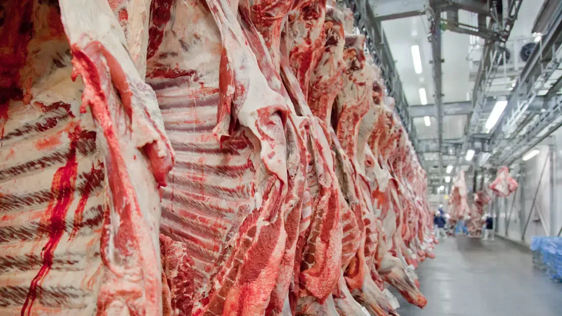 Carrefour anuncia boicote à carne do Mercosul e acende polêmica na Europa