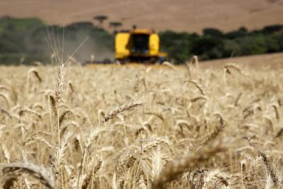 Confaz prorroga novamente prazo para adesão da Nota Fiscal do Produtor Eletrônica