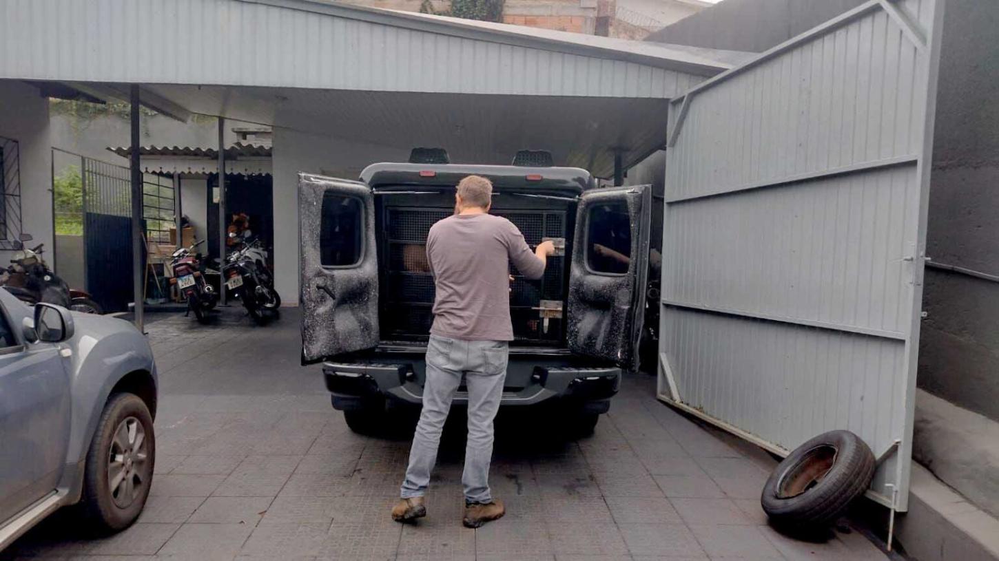 Homem é preso em flagrante por descumprir medida protetiva em Jardim Alegre