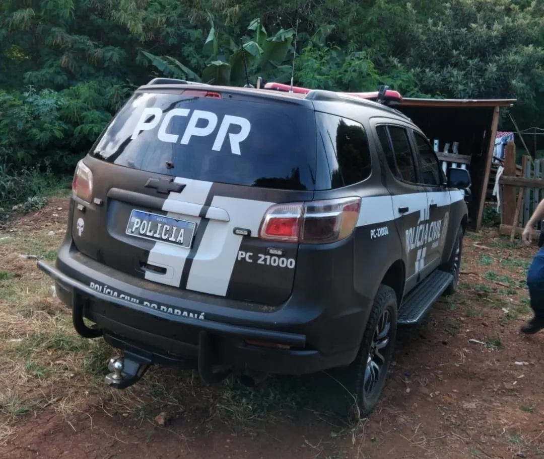 Polícia Civil prende suspeito de furtos em Jandaia do Sul