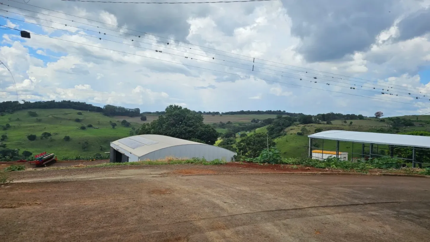 Homem é atacado por enxame de abelhas em Borrazópolis e se refugia em represa