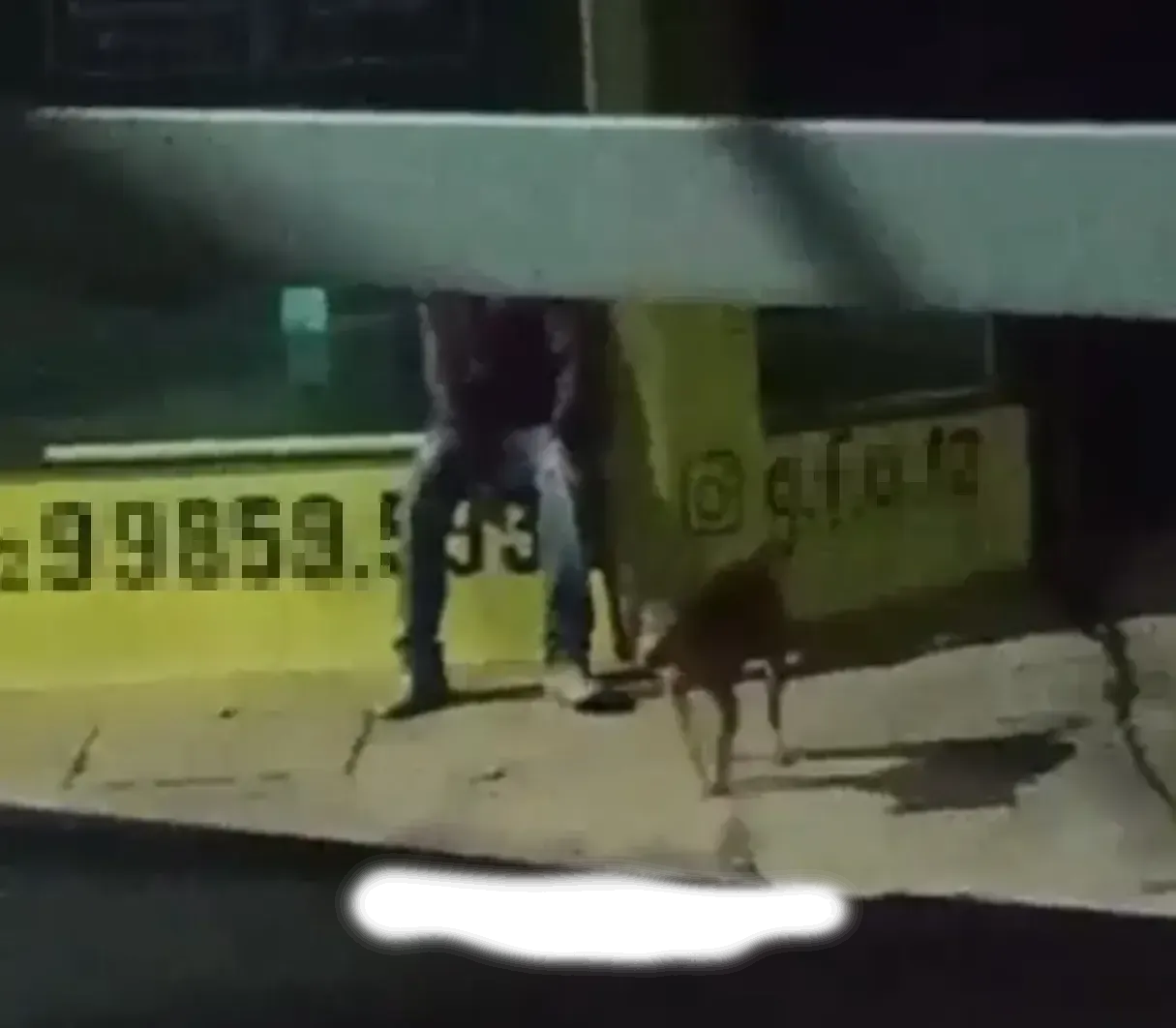 Homem é preso em Ortigueira por abuso sexual a cachorro em via pública