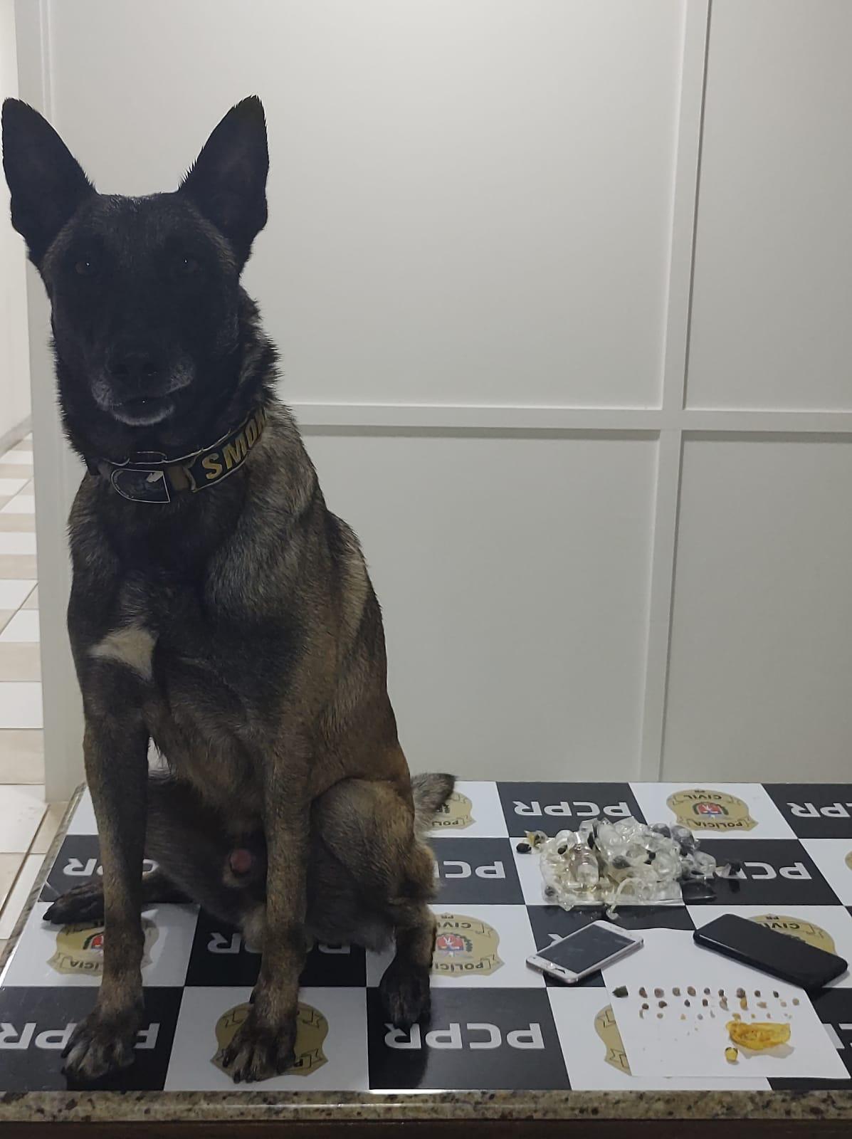 Polícia Militar prende suspeito e apreende adolescente com drogas em Apucarana