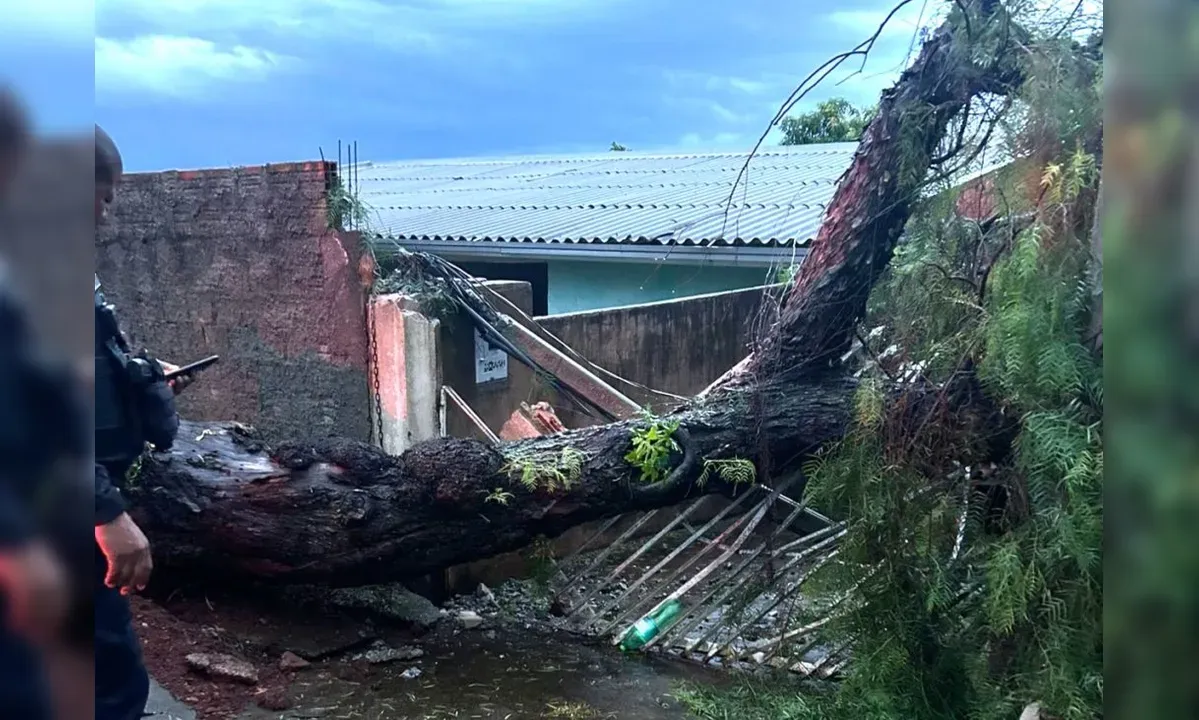 Temporal causa transtornos em Apucarana com alagamentos e quedas de árvores