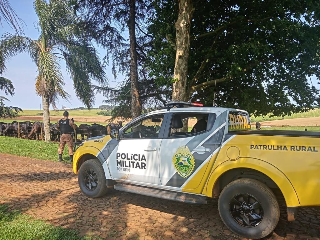Bandidos furtam casa na zona rural em São João do Ivaí
