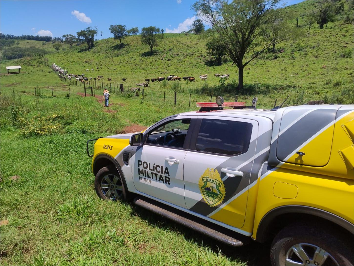 Furto qualificado em chácara de Borrazópolis