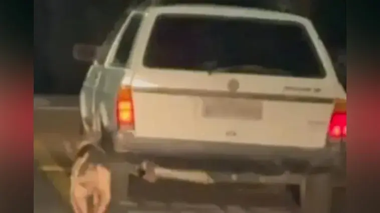 Homem é preso em Mandaguari por maus-tratos a animais após arrastar cachorro com carro