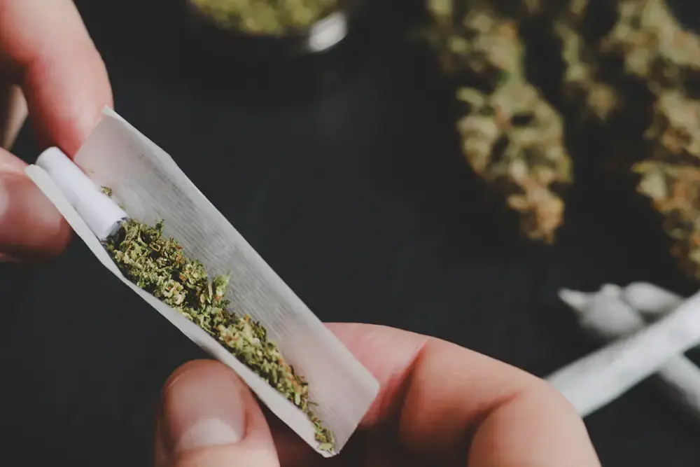 Mulher é detida em Marumbi após apreensão de drogas para consumo pessoal