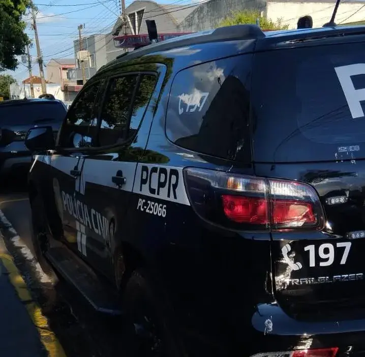 Polícia Civil de Jandaia do Sul prende homem condenado por estupro de vulnerável