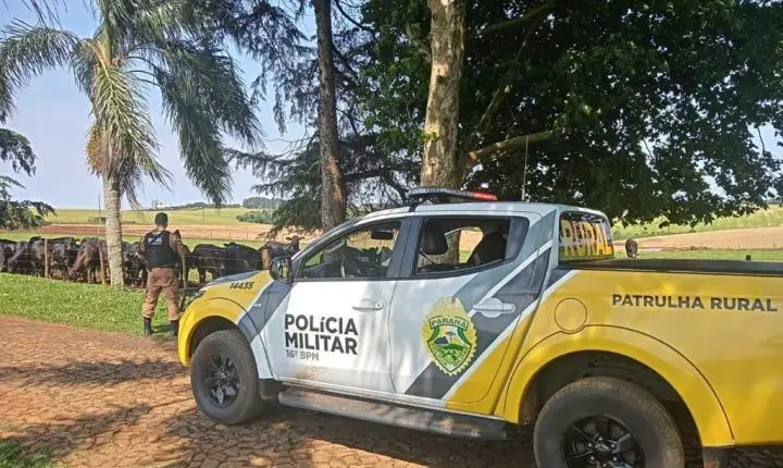 Bandidos furtam casa na zona rural em São João do Ivaí