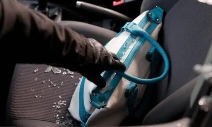 Bolsa é furtada de carro em Califórnia