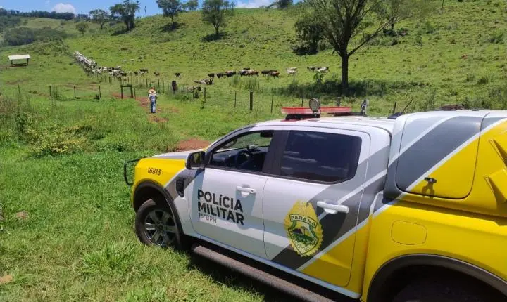 Furto qualificado em chácara de Borrazópolis